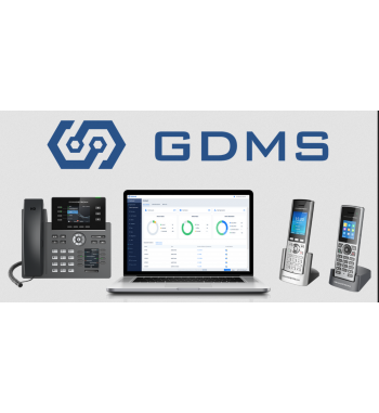 GDMS